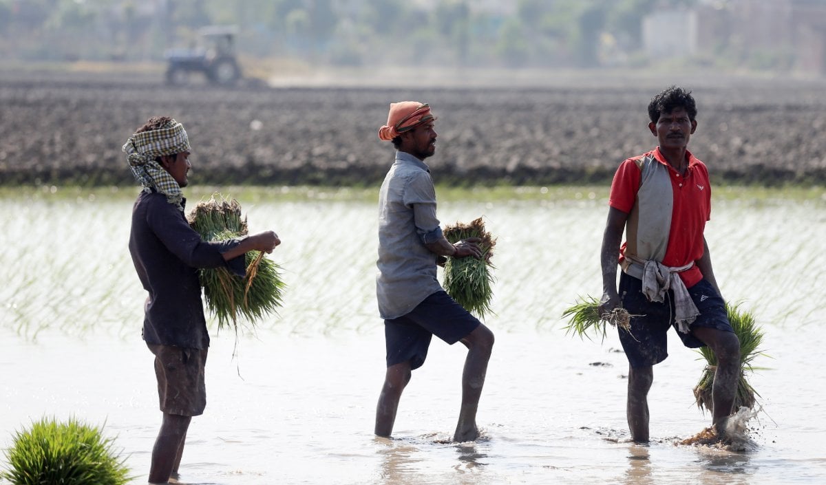 World Bank Report 2026 | भारत में अत्यधिक गरीबी घटकर 2.6% पर आई! विश्व बैंक की रिपोर्ट में ऐतिहासिक गिरावट और आय असमानता की चुनौती