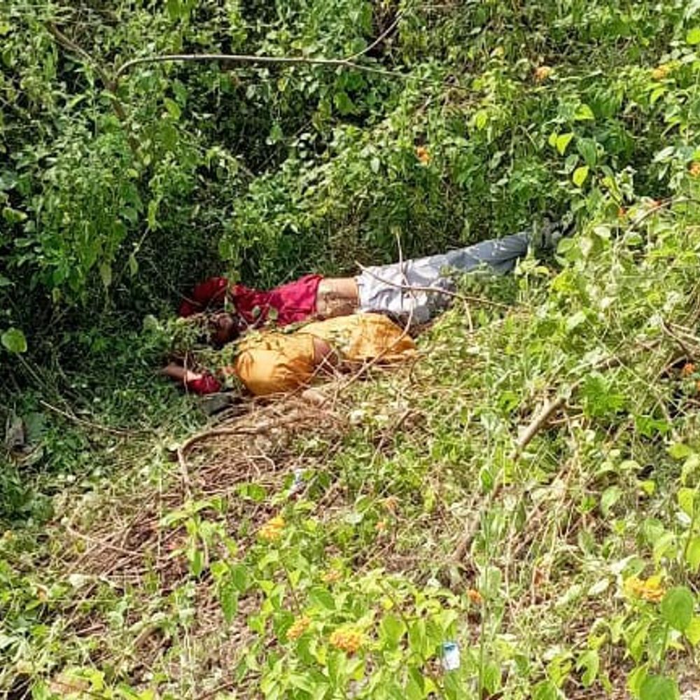 वाहन की टक्कर से पुल के नीचे गिरी बाइक:दादी-पोते की मौके पर मौत, नाती ने अस्पताल में तोड़ा दम; कथा में शामिल होकर लौट रहे थे