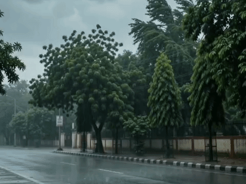 अर्नब तूफान का असर, बरेली में आज होगी बारिश:अधिकतम तापमान 25 डिग्री रहने का अनुमान,मौसम विभाग ने यलो अलर्ट जारी किया