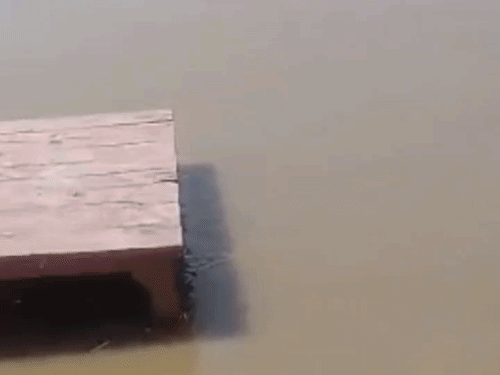 उत्तराखंड की बारिश से गंगा उफनी, गोकना घाट डूबा:सीढ़ियां और शवदाह गृह डूबे, प्रशासन ने कटरी क्षेत्र में बढ़ाई निगरानी