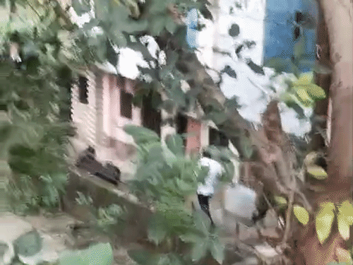 गैंगस्टर बोला-नाम गूगल सर्च कर लेना, लाशें नही मिलेंगी:कानपुर में रेप पीड़िता के घर गुर्गों के साथ पहुंचा, VIDEO, 3 पर FIR