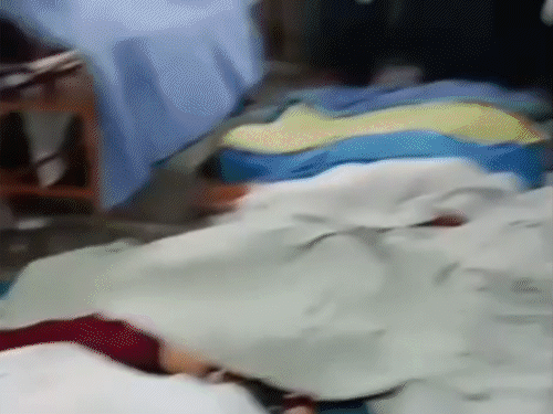 कोलकाता भगदड़- अफवाह फैलाने वाले की तलाश जारी:पुलिस बोली- पंडाल गिरने के दावे का कोई सबूत नहीं मिला, भगदड़ में 19 जानें गईं थीं