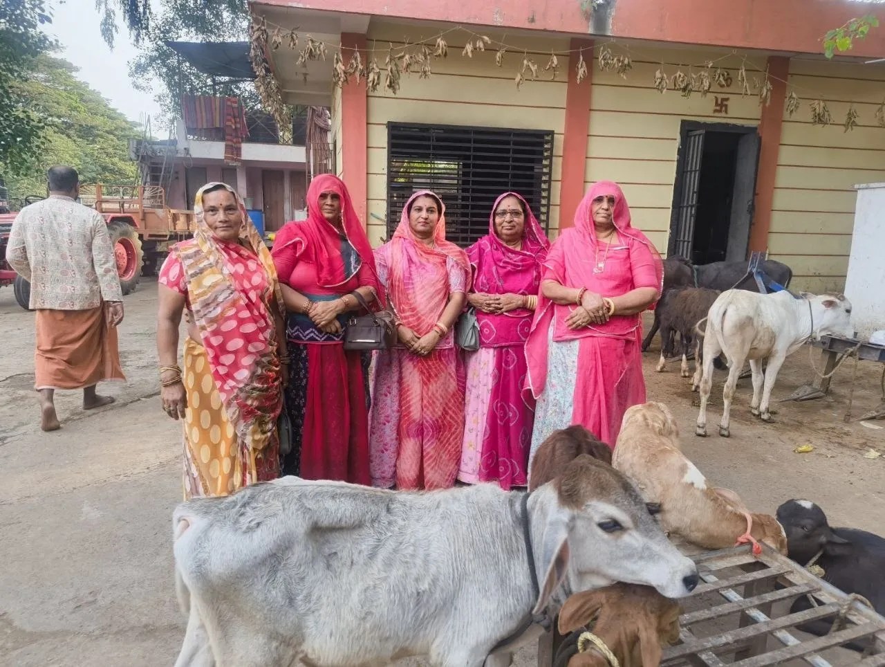 अमावस्या पर गोसेवा के लिए गौशालाओं में उमड़ा प्रवासी महिलाओं का उत्साह