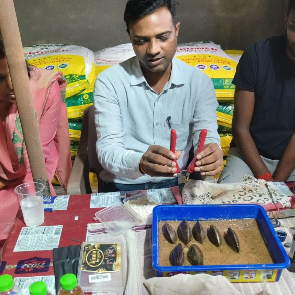 औरंगाबाद- मोती और झींगा पालन से बढ़ेगी किसानों की आय:0.5 एकड़ में मोती पालन पर 2.246 लाख, झींगा पालन पर 1.10 लाख की लागत; 60% मिलेगा अनुदान