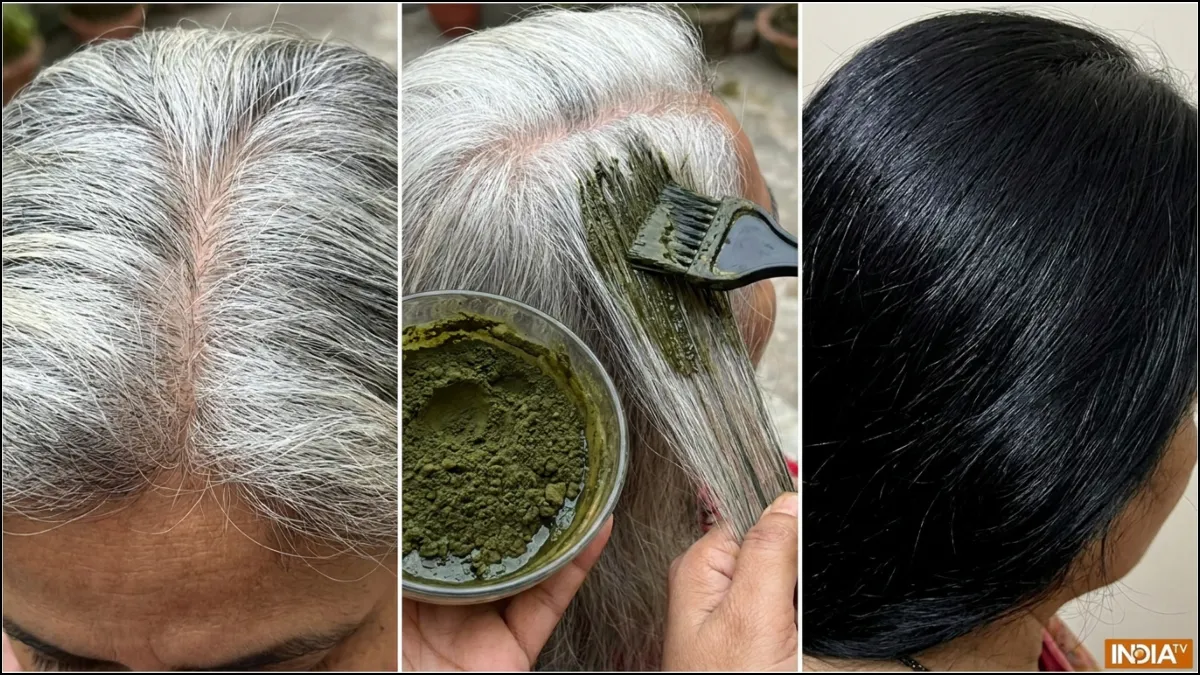 मेहंदी के ऊपर लगाएं ये नीला पाउडर, एकदम काले हो जाएंगे सफेद बाल, जान लें लगाने का तरीका