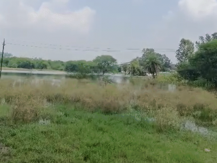 केरवा डैम की ‘हद’ में कब्जे, NGT में सुनवाई:कमेटी को तीन सप्ताह में FTL के निर्धारण के आदेश; अब तक की रिपोर्ट देखी