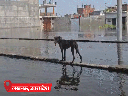 यूपी के रायबरेली में 10 गांव बाढ़ में घिरे:बिहार में 9 अक्टूबर तक बारिश के आसार, उत्तराखंड के पिथौरागढ़ में बर्फबारी