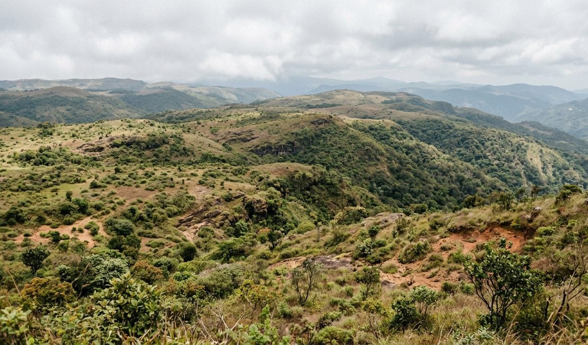 Meghalaya में GIS और सैटेलाइट से 3.4 लाख हेक्टेयर कृषि योग्य बंजर जमीन की हुई पहचान