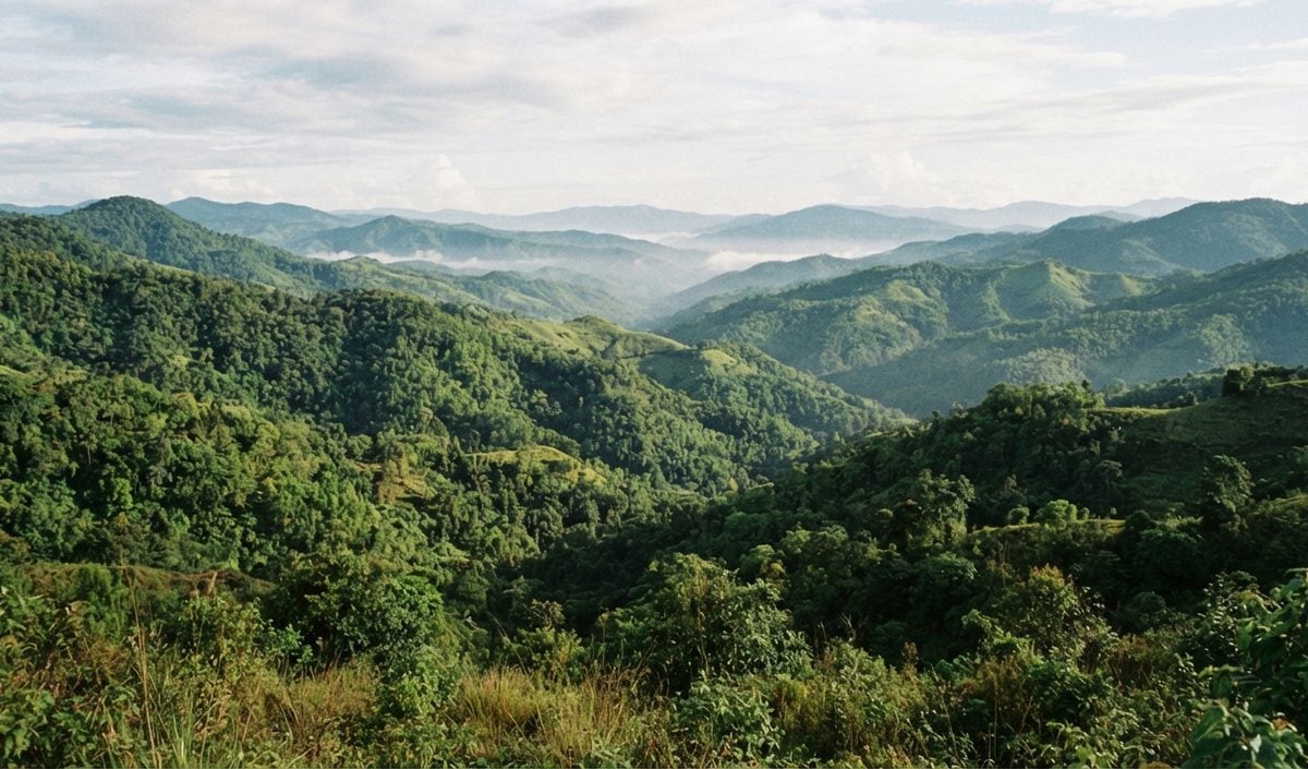Mizoram Tourism: भूटान मॉडल अपनाएगा मिजोरम, 10 साल में जिम्मेदार पर्यटकों को जोड़ने का लक्ष्य