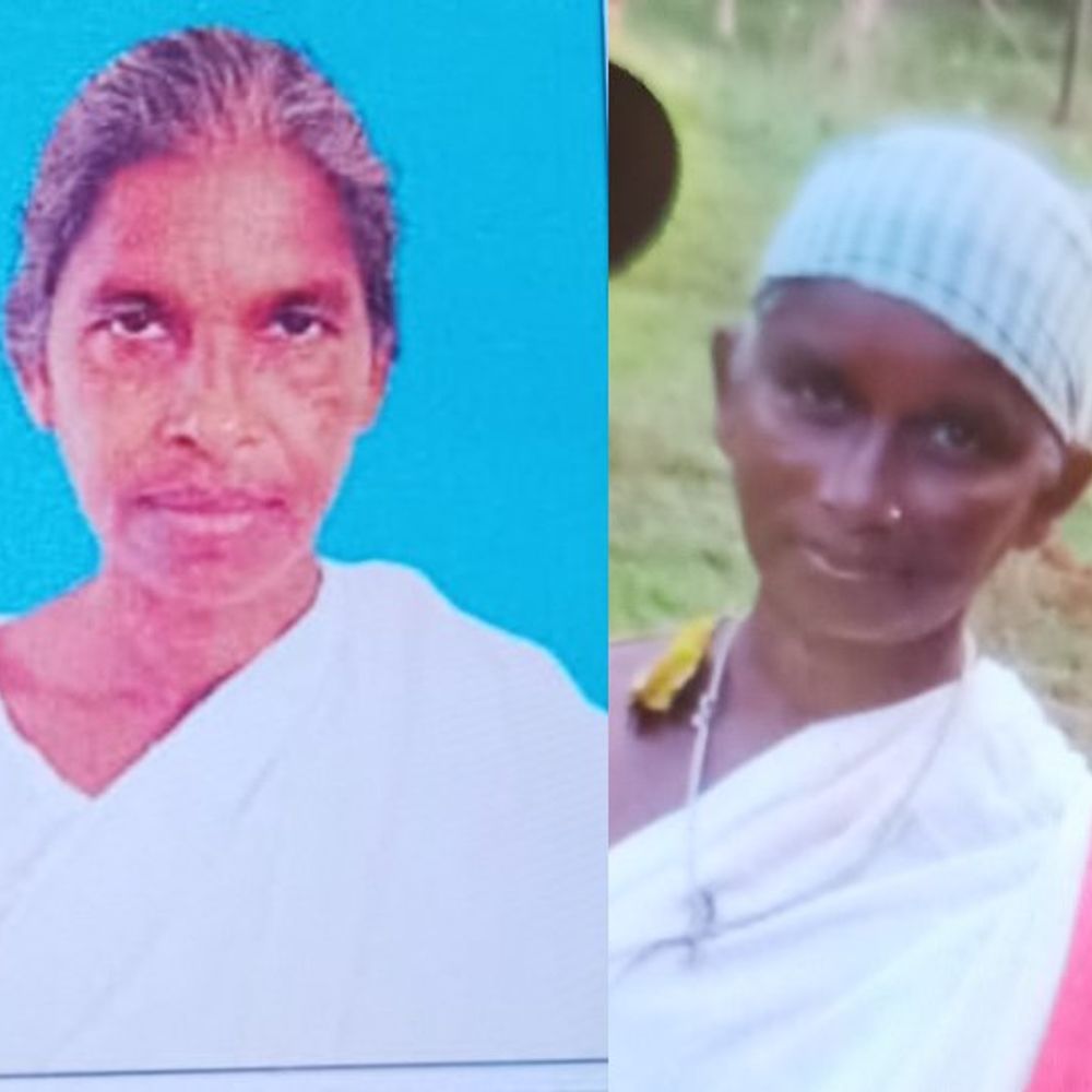 झाड़-फूंक के नाम पर सगी बहनों कुल्हाड़ी से काटा:आरोपी भाई लंबे समय से बीमार था, यूट्यूब देखकर खुद दवाएं बनाता था