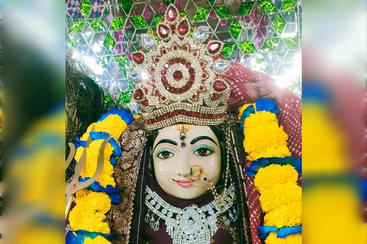 Alwar: अलवर में करणी माता के रास्ते पर बाघिन का मूवमेंट, श्रद्धालु रहें सतर्क
