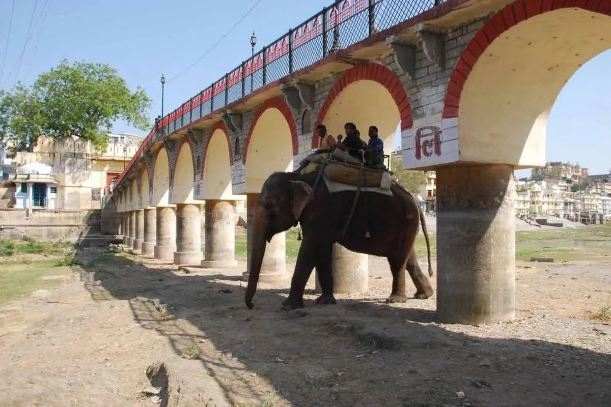 उदयपुर : आठ माह जैसे-तैसे खींच लेंगे, अगला मानसून भी कमजोर हुआ तो…