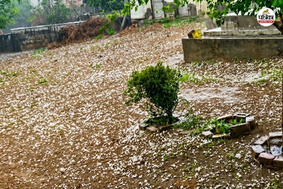 Rain Update : राजस्थान में 23-24 अक्टूबर को फिर बदलेगा मौसम! जयपुर में कुछ इलाकों में गिरे ओले, बढ़ी ठंड