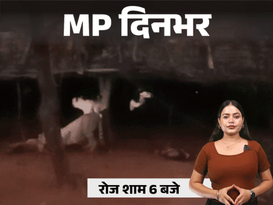 MP दिनभर, 10 बड़ी खबरें:कार ने दो महिलाओं समेत 3 को कुचला, घर में घुसे चीते, पति-पत्नी भागे; धीरेंद्र शास्त्री के पंडाल में लगी आग