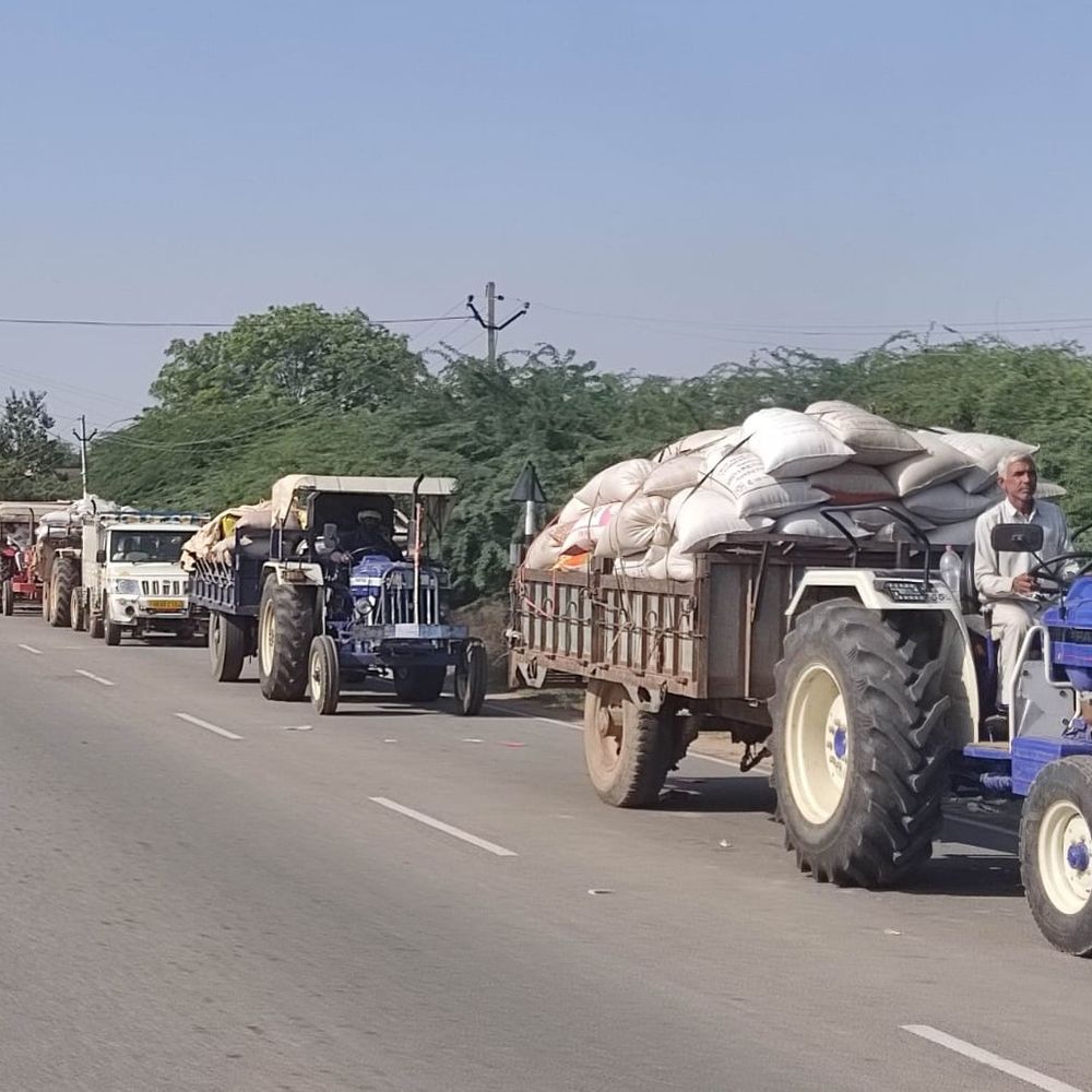 नारनौल-अटेली मंडी में बाजरा खरीद का संशोधित रोस्टर जारी:19 से 24 अक्टूबर तक गांववार होगी खरीद, 15 नवंबर तक चलेगी सरकारी खरीद