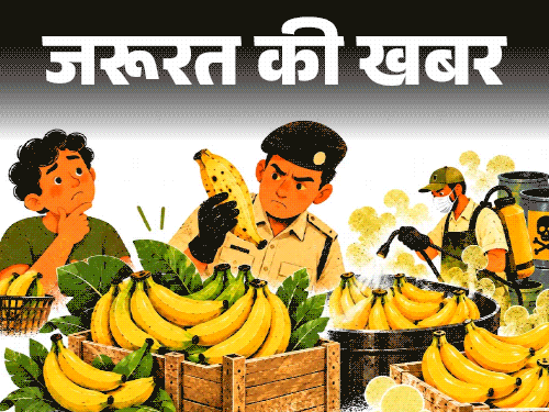 जरूरत की खबर- महाराष्ट्र में 1,400 किलो केले जब्त:केमिकल में डुबोकर पका रहे थे, इसे खाने के हेल्थ रिस्क, ऐसे पहचानें केमिकल्स